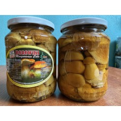 Borowiki marynowane całe 720g