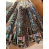 Podgrzybek brunatny 100g